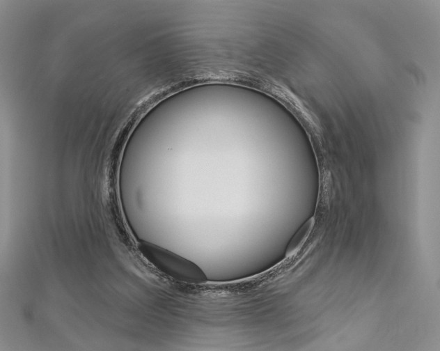 X0000113160203200909041000