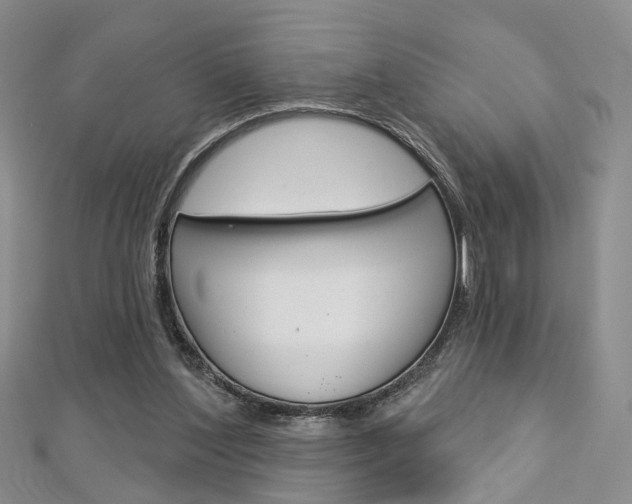 X0000113160204200909041000