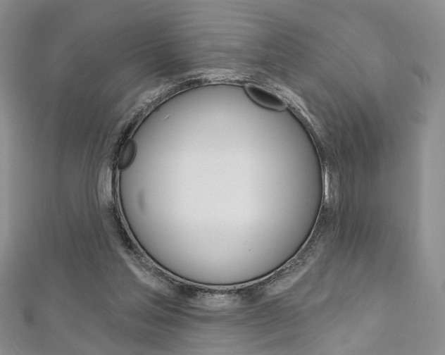 X0000113160205200909041000