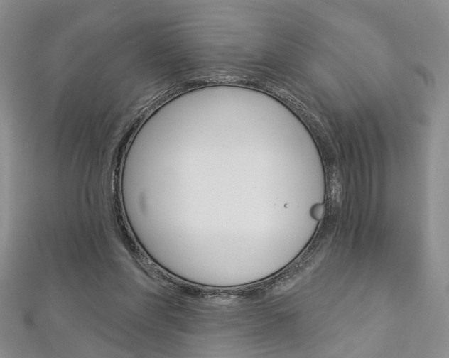 X0000113160206200909041000