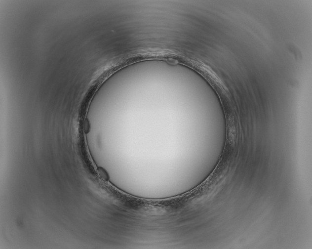 X0000113160207200909041000