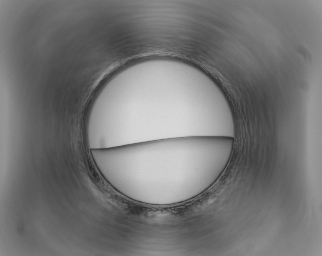 X0000113160208200909041000