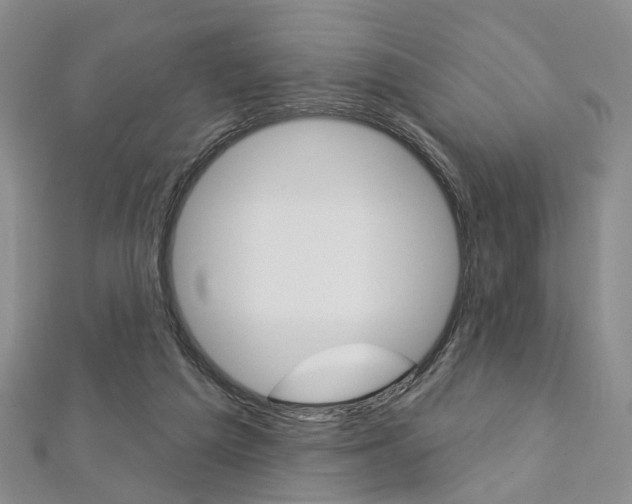 X0000113160209200909041000
