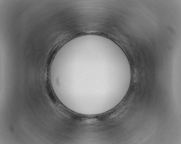 X0000113160210200909041000