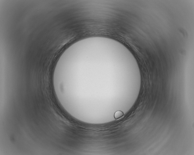 X0000113160211200909041000