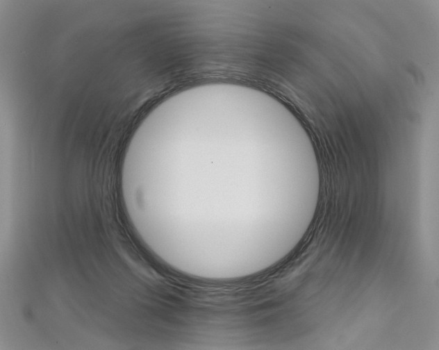 X0000113160215200909041000