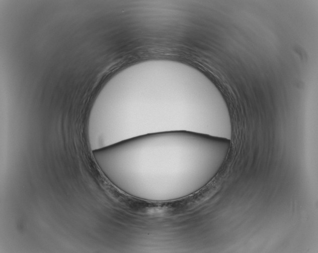 X0000113160216200909041000