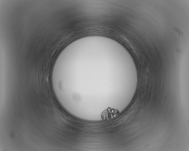 X0000113160217200909041000