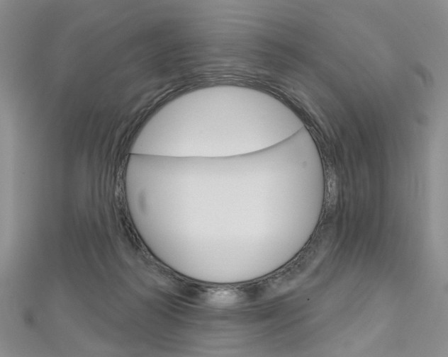 X0000113160218200909041000