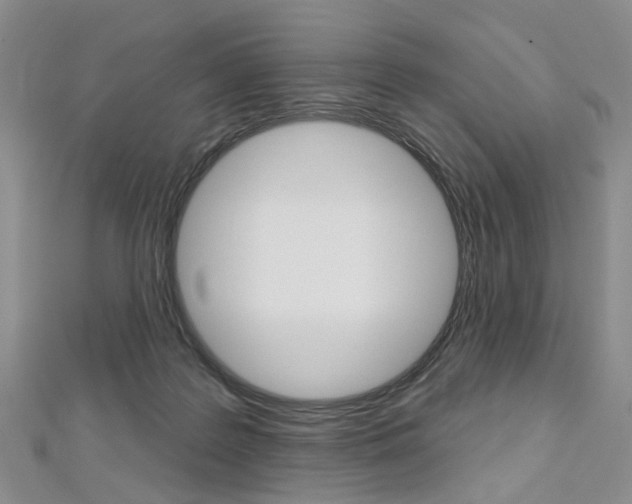X0000113160219200909041000