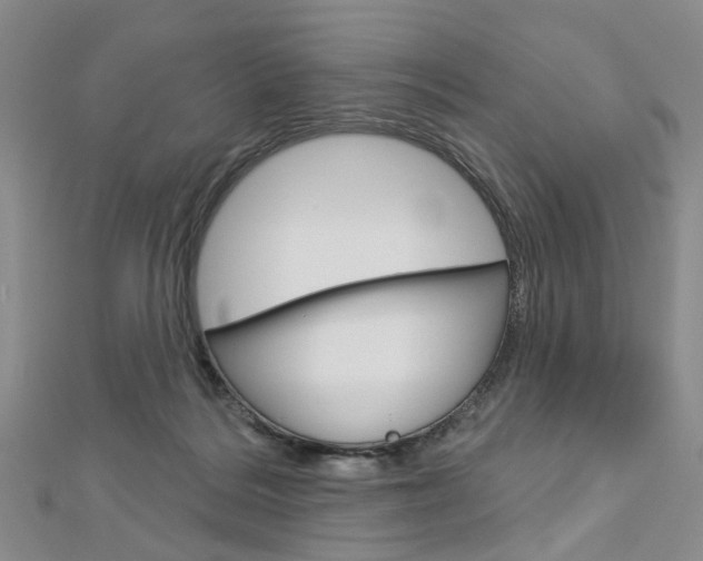 X0000113160220200909041000