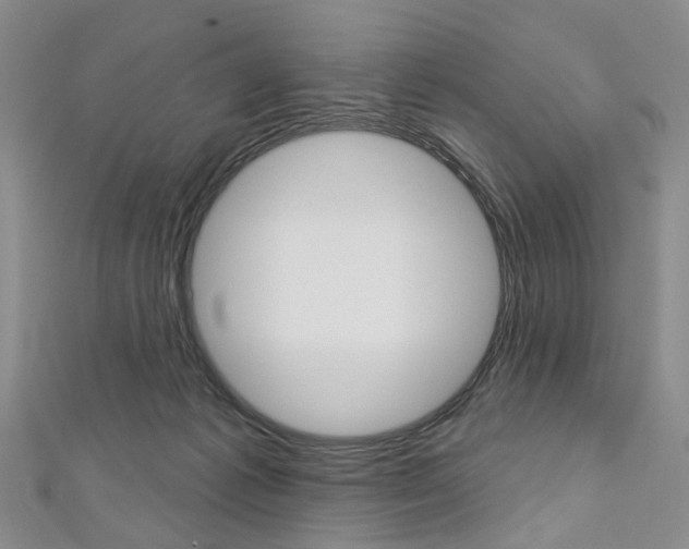 X0000113160221200909041000