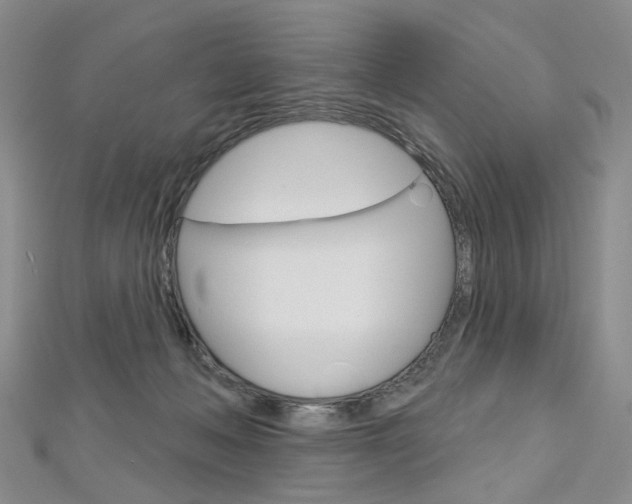 X0000113160222200909041000