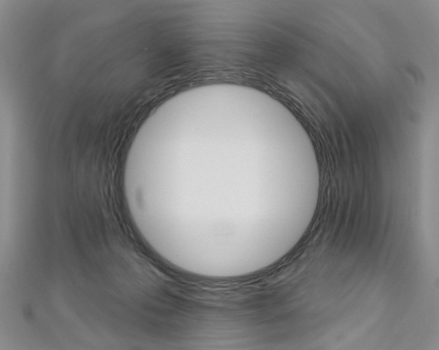 X0000113160223200909041000