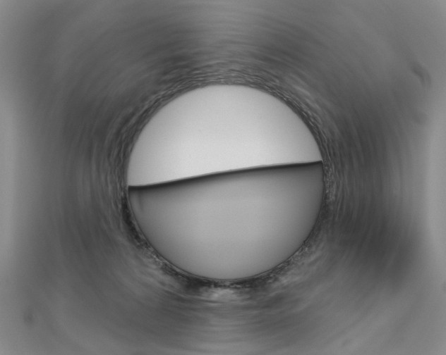 X0000113160224200909041000