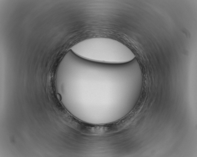 X0000113160225200909041000