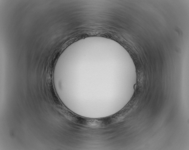 X0000113160226200909040959