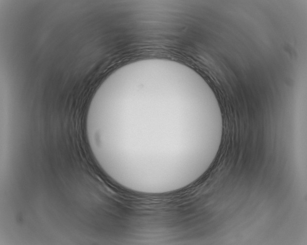 X0000113160227200909040959