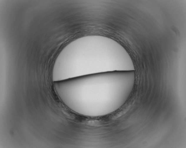 X0000113160228200909040959