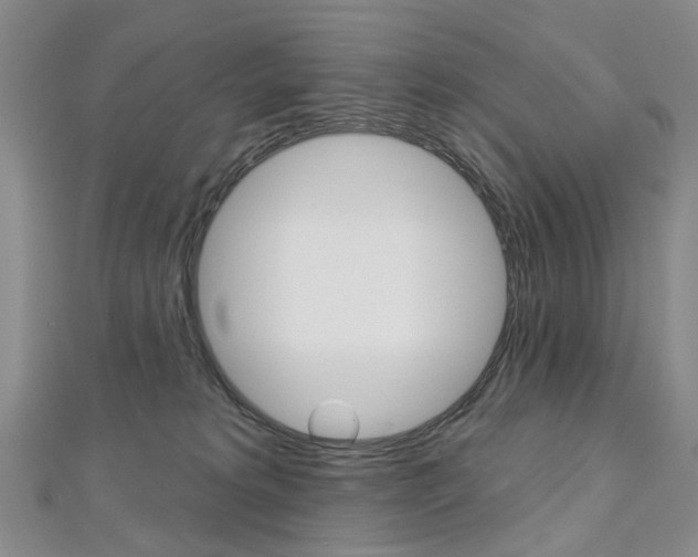 X0000113160229200909040959