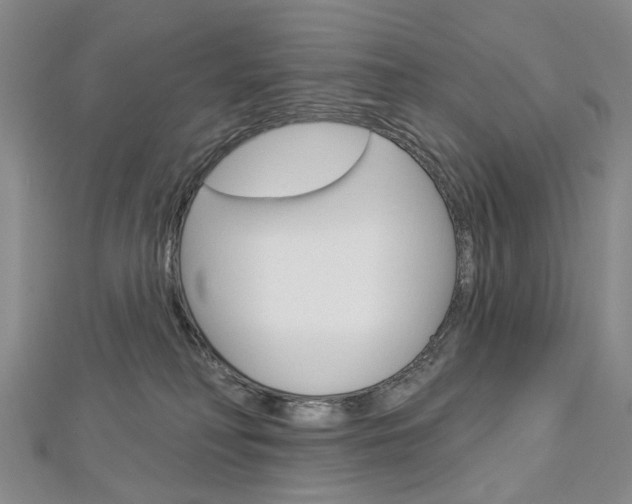 X0000113160230200909040959