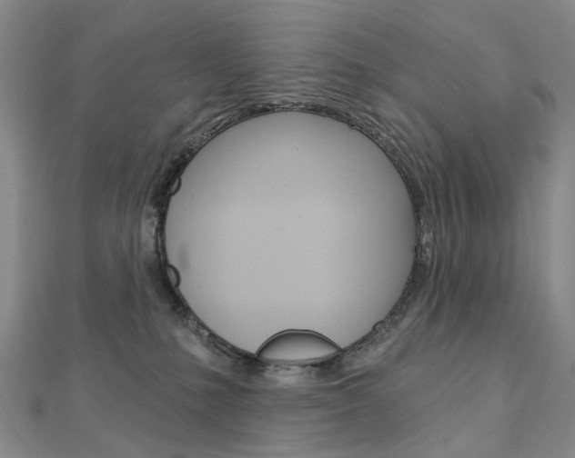 X0000113160231200909040959