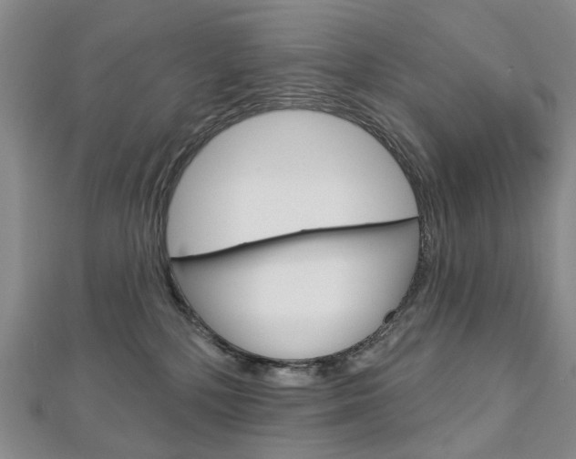 X0000113160232200909040959