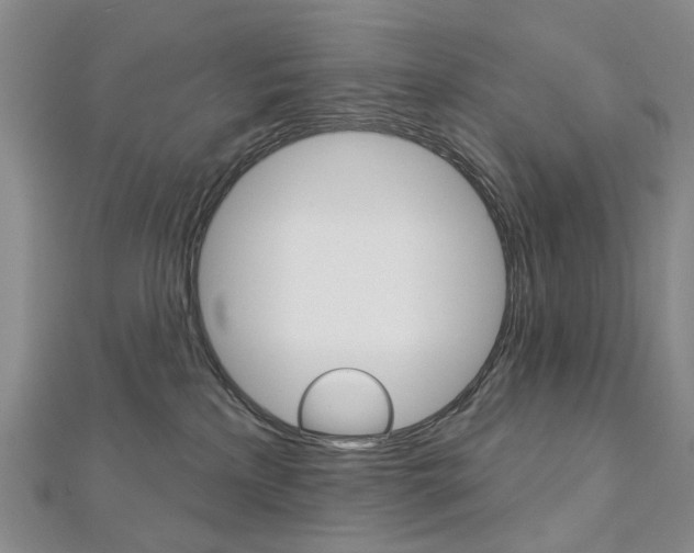 X0000113160233200909040959