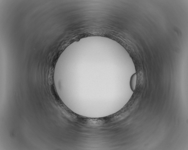 X0000113160234200909040959
