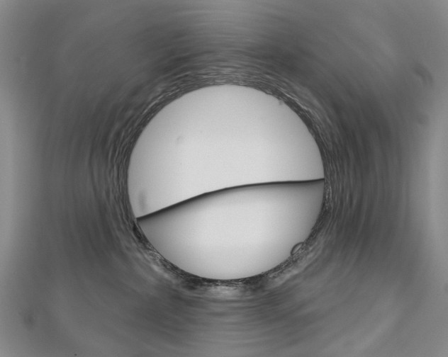 X0000113160236200909040959