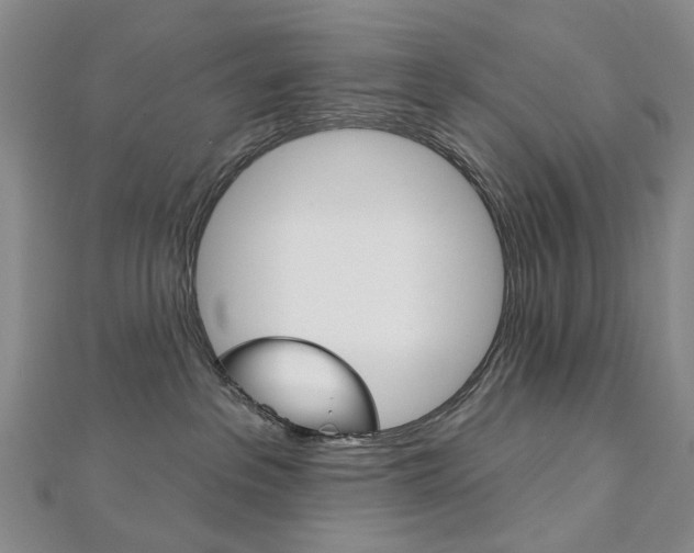 X0000113160237200909040959