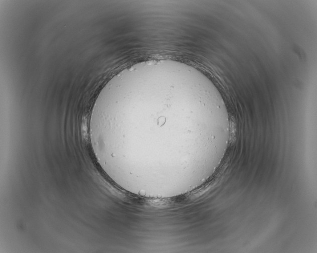 X0000113160238200909040959