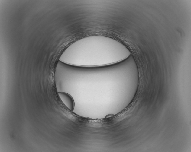 X0000113160240200909040959