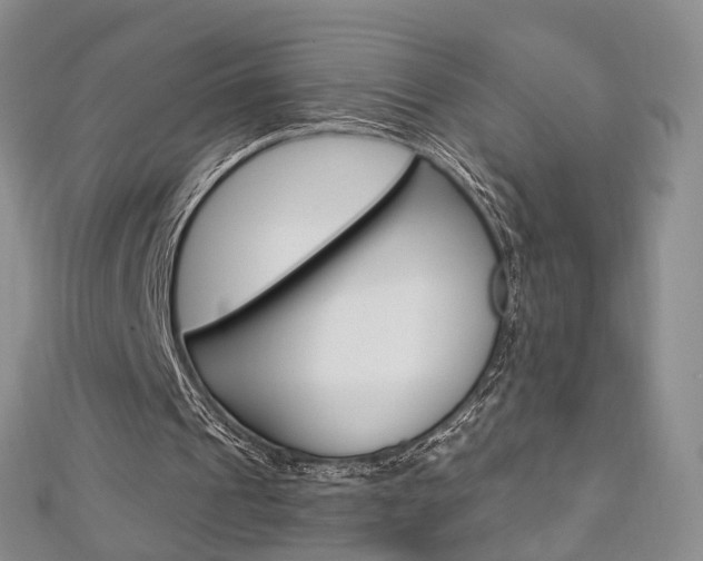 X0000113160241200909040959