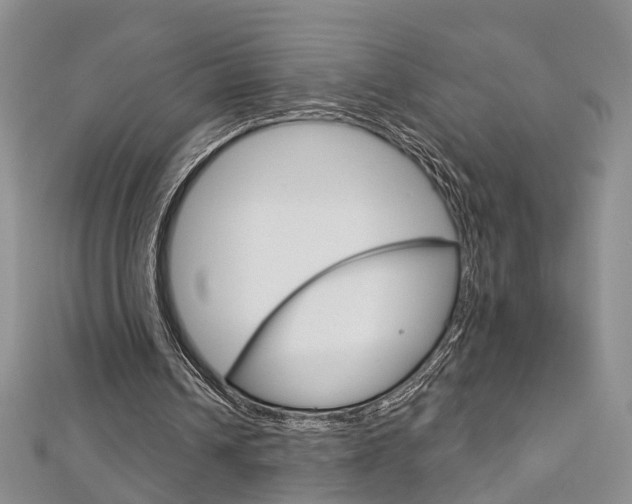 X0000113160242200909040959