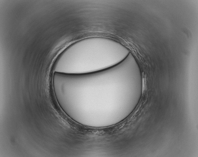 X0000113160243200909040959