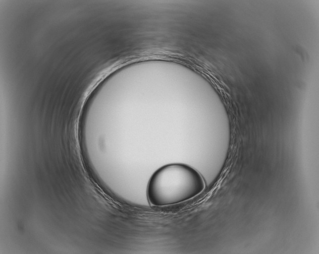 X0000113160244200909040959