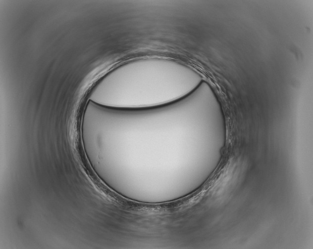 X0000113160245200909040959