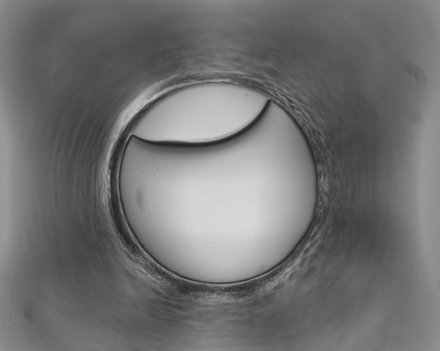 X0000113160246200909040959