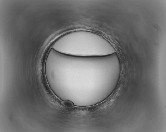 X0000113160247200909040959