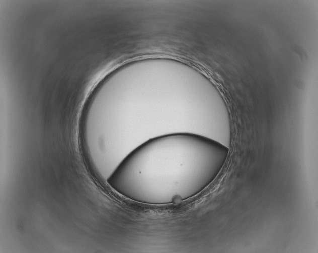 X0000113160248200909040959