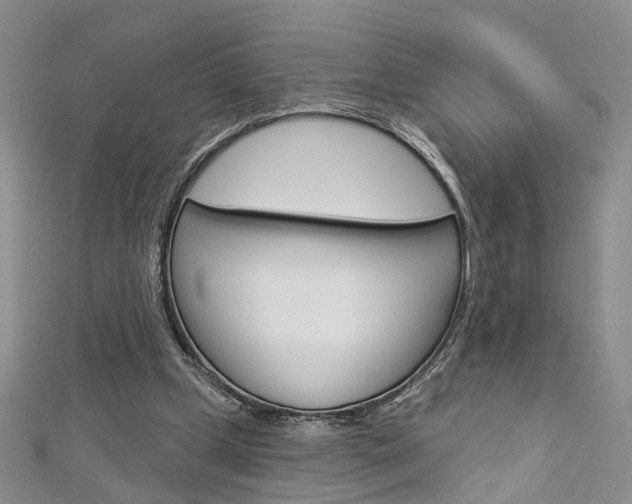 X0000113160249200909040959