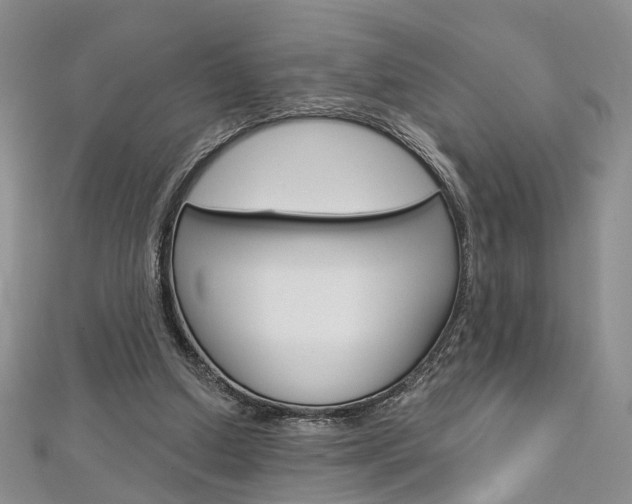 X0000113160250200909040959