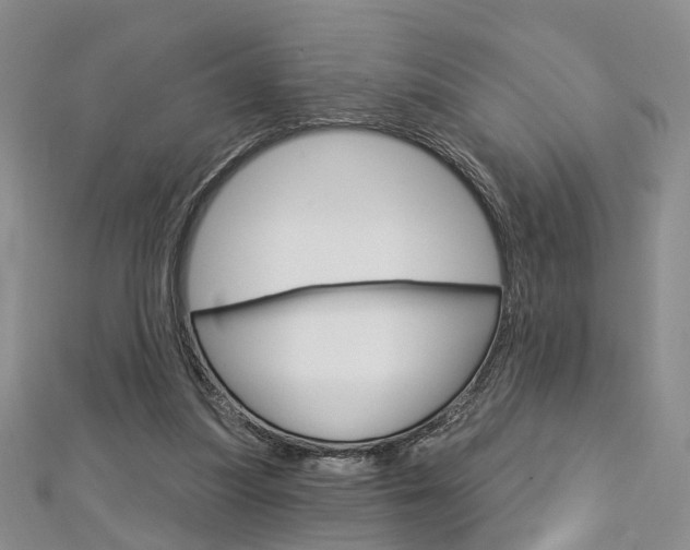 X0000113160251200909040959
