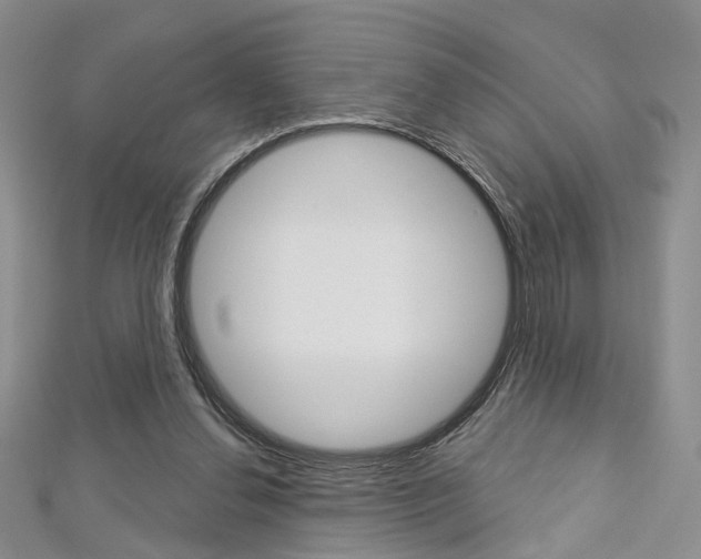 X0000113160252200909040959