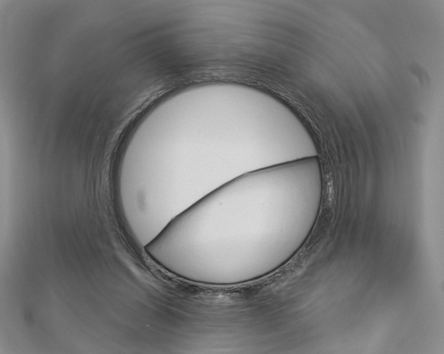 X0000113160254200909040959