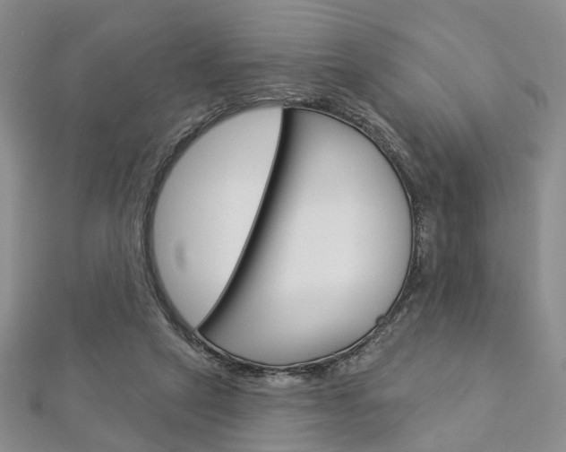 X0000113160257200909040959