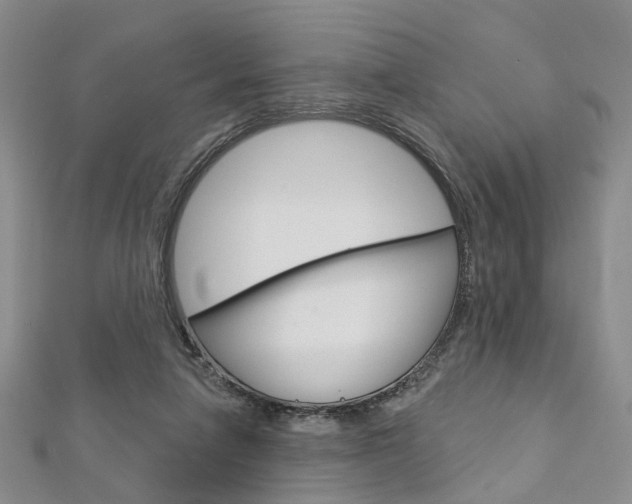 X0000113160258200909040959