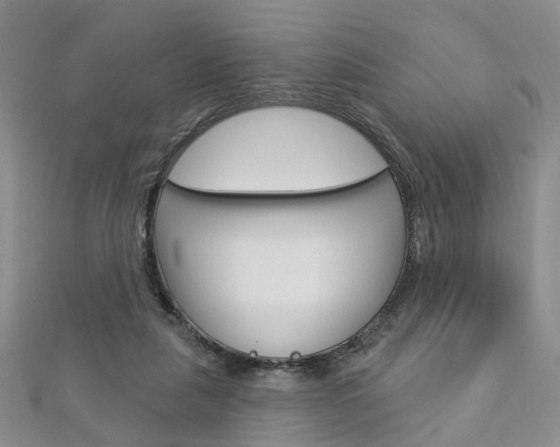 X0000113160259200909040959