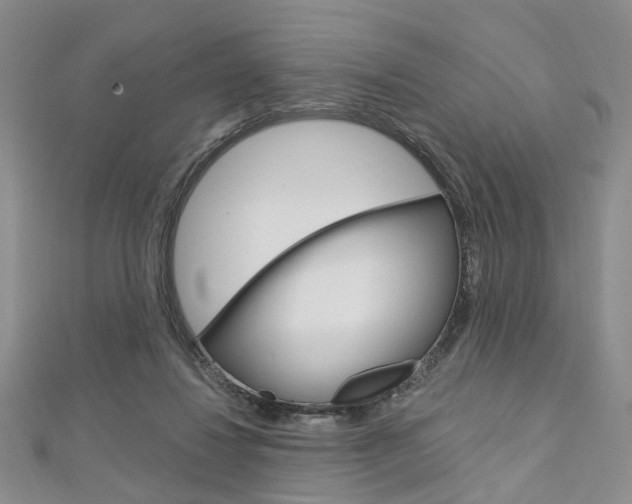 X0000113160260200909040959